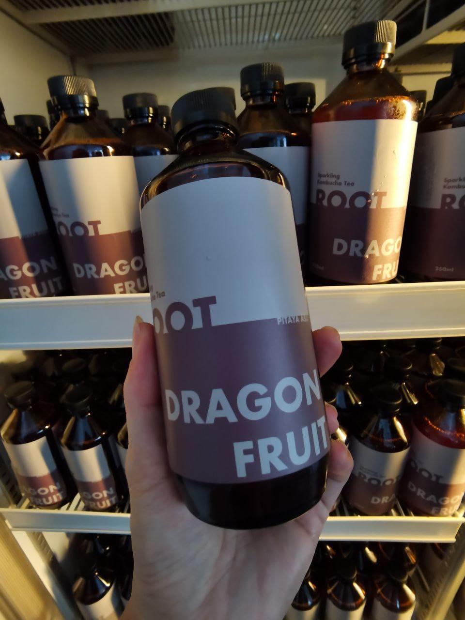 Aeiou WhereTo Eat Kombucha - Dragon Fruit